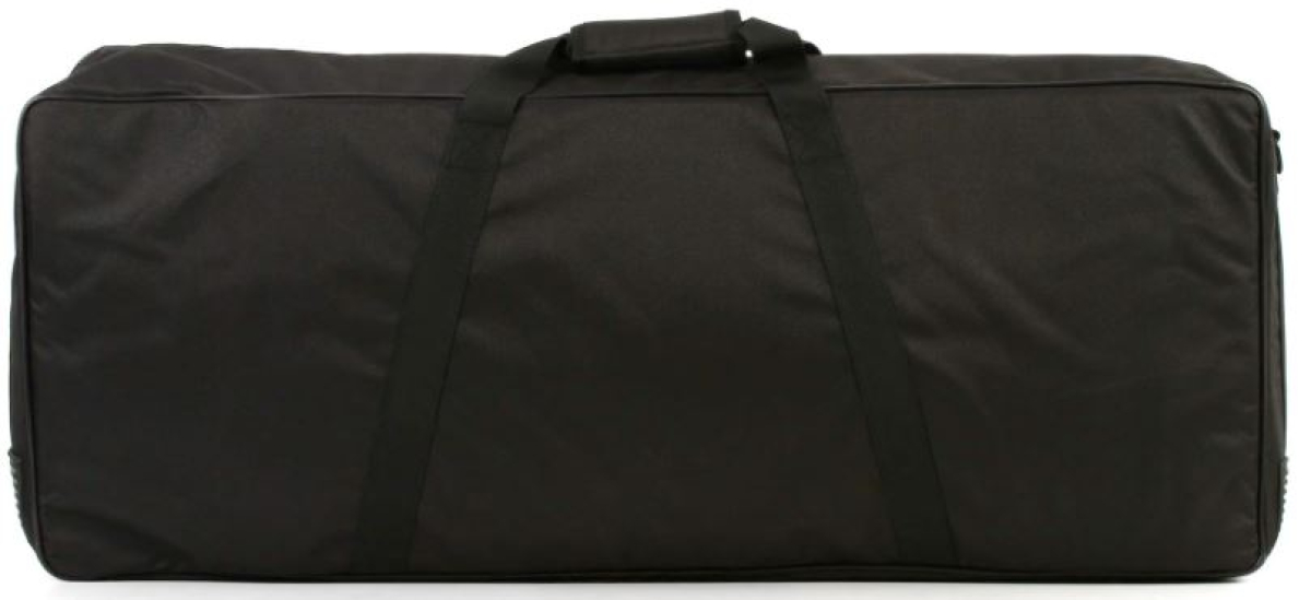 Temple Audio Design DUO-34-SC Softcase
